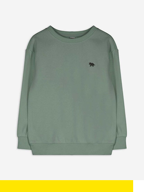 Jungen Sweatshirt