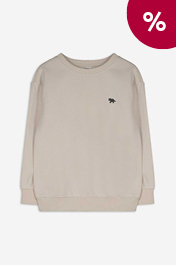 Sweatshirt_jungen