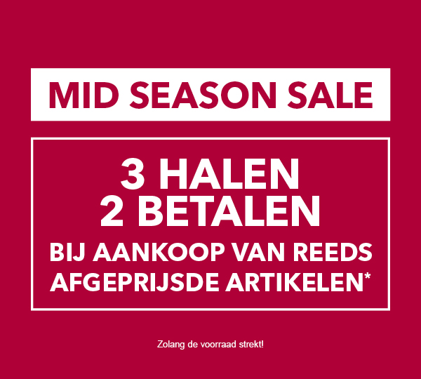 EinstiegSaleNL